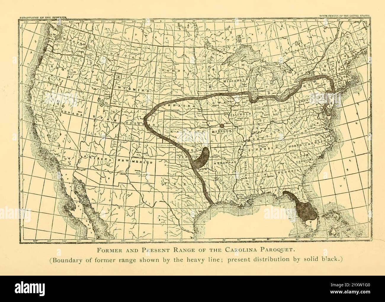 The Auk, Washington, D.. C, American Ornithologists' Union, 1884, Vögel, Zeitschriften, Map, Carolina Paroquet, Eine historische Karte, die die Route von Denver bis zur Colorado Passage zeigt. Die detaillierte kartographische Darstellung hebt verschiedene geografische Merkmale hervor, darunter Flüsse, Straßen und umliegendes Gelände. Eine Rasterüberlagerung erleichtert die Navigation, während Anmerkungen Kontext zu wichtigen Orten und Sehenswürdigkeiten entlang der Route liefern und die Topografie und Infrastruktur der Region während ihrer Erstellung veranschaulichen. Stockfoto