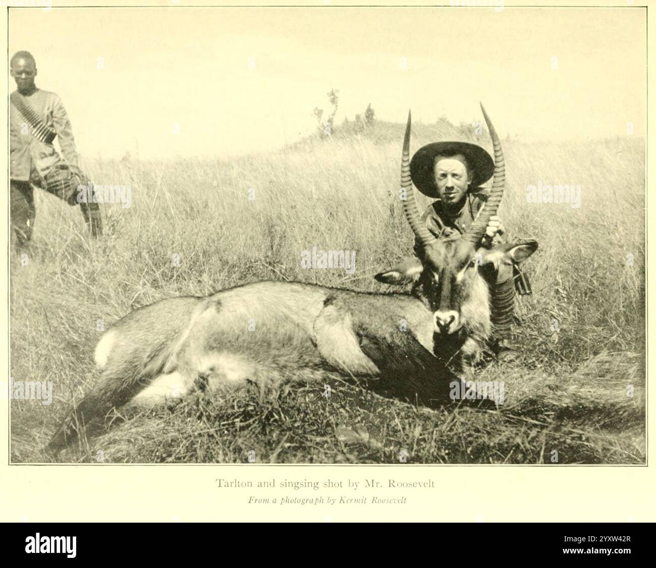 Afrikaner, Spiel, Trails, London, John, Murray, 1910, Jagd, Uganda, Beschreibung, und Travel, Africa, East, die Szene fängt einen Moment des Abenteuers in der Wildnis ein, in dem ein Individuum stolz ein Trophäentier zeigt. Mit einem breitkrempigen Hut, der mit dekorativen Elementen verziert ist, wird die Person im Vordergrund positioniert und hält das Tier mit prominenten Hörnern, was eine bedeutende Jagdleistung darstellt. Dahinter steht eine andere Figur in traditioneller Kleidung mit einer entspannten Haltung, was auf ein Gefühl von Kameradschaft hindeutet. Die Kulisse besteht aus hohen Gräsern, die auf A hinweisen Stockfoto