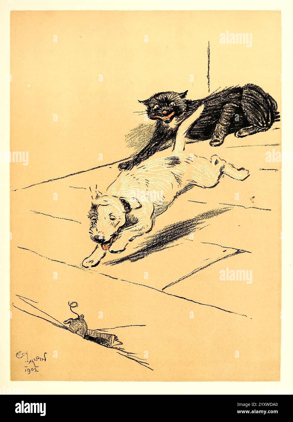 Ein Hundetag oder der Engel im Haus. New York, R.H. Russell [1902]. Hunde, Bildwerke. Eine verspielte Szene entfaltet sich, während zwei Katzen sich in einem Moment der Erkundung und des Unfugs engagieren. Die weiße Katze, die mitten im Sprung gefangen wurde, scheint wegzuflitzen, vielleicht erstaunt über die Anwesenheit ihres eleganten schwarzen Gefährten. Die schwarze Katze, die mit einem verspielten Verhalten übersät ist, scheint auf der Suche nach einer kleinen Maus in der Nähe zu sein. Die Einfachheit der Umgebung unterstreicht die lebendigen Ausdrucksformen und Interaktionen der Katzen und zeigt eine Mischung aus Neugier und spielerischer Rivalität. Subtile Linien und Texturen e Stockfoto