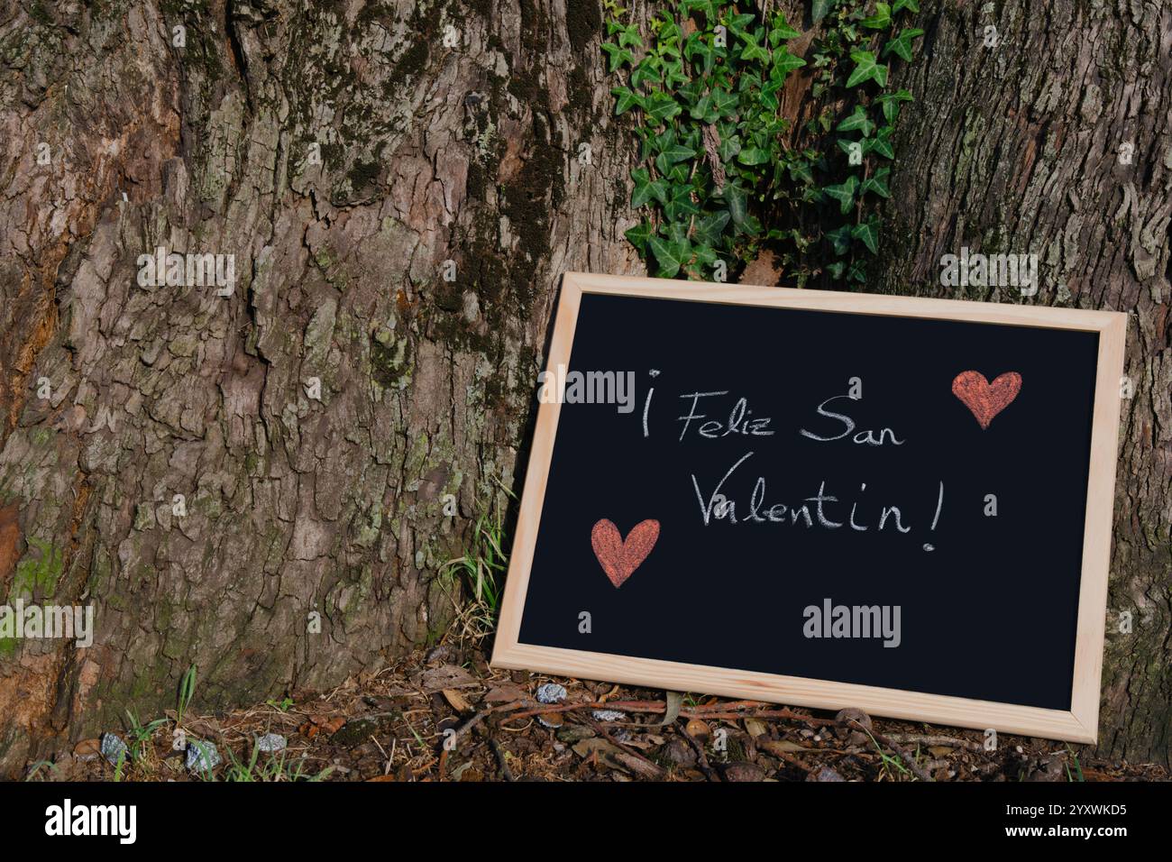 Valentinstag-Nachricht auf Tafel mit roten Herzen am Baumstamm Stockfoto