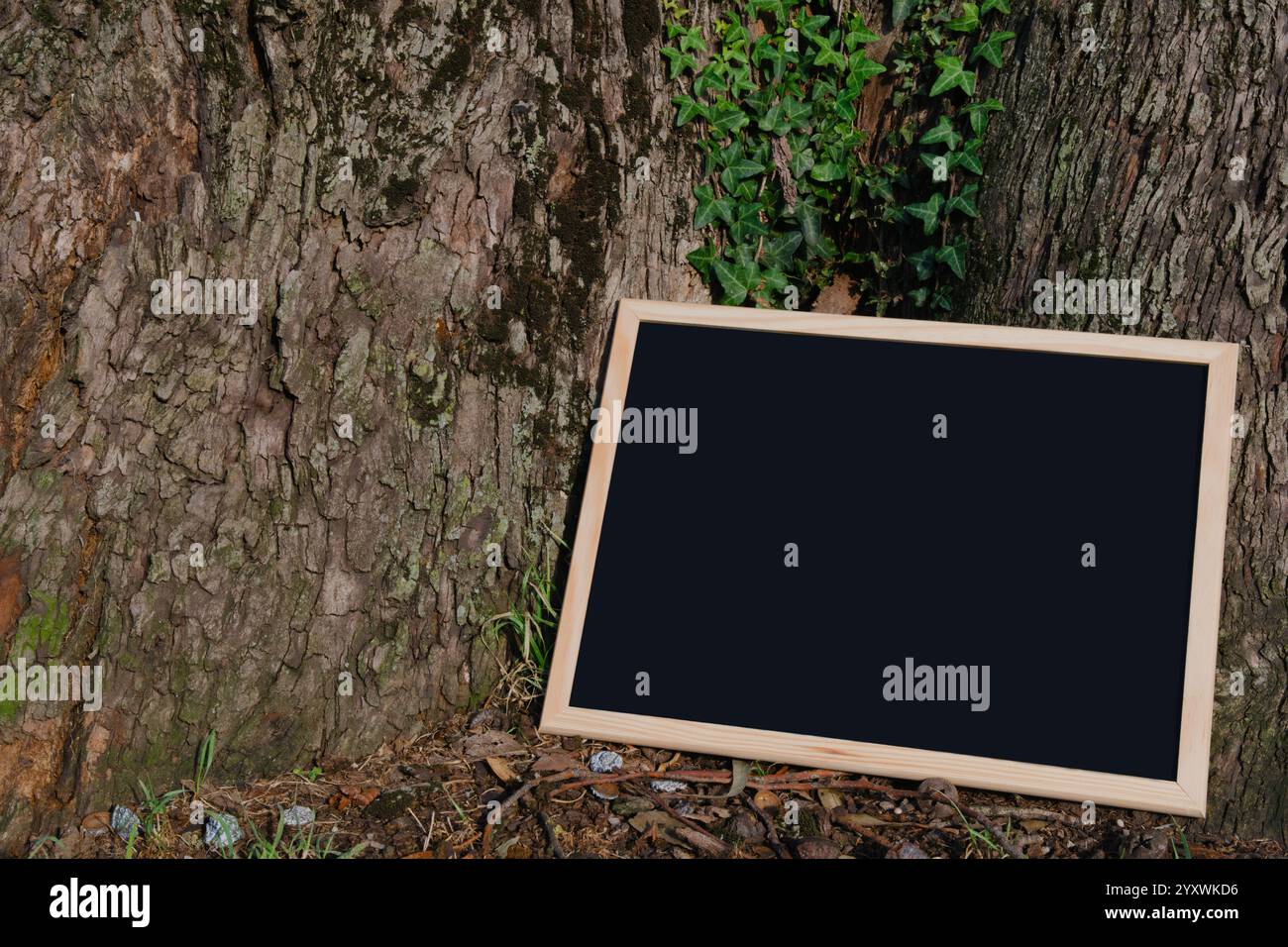 Leere Tafel mit Holzrahmen gegen Baumstamm und Efeublätter Stockfoto
