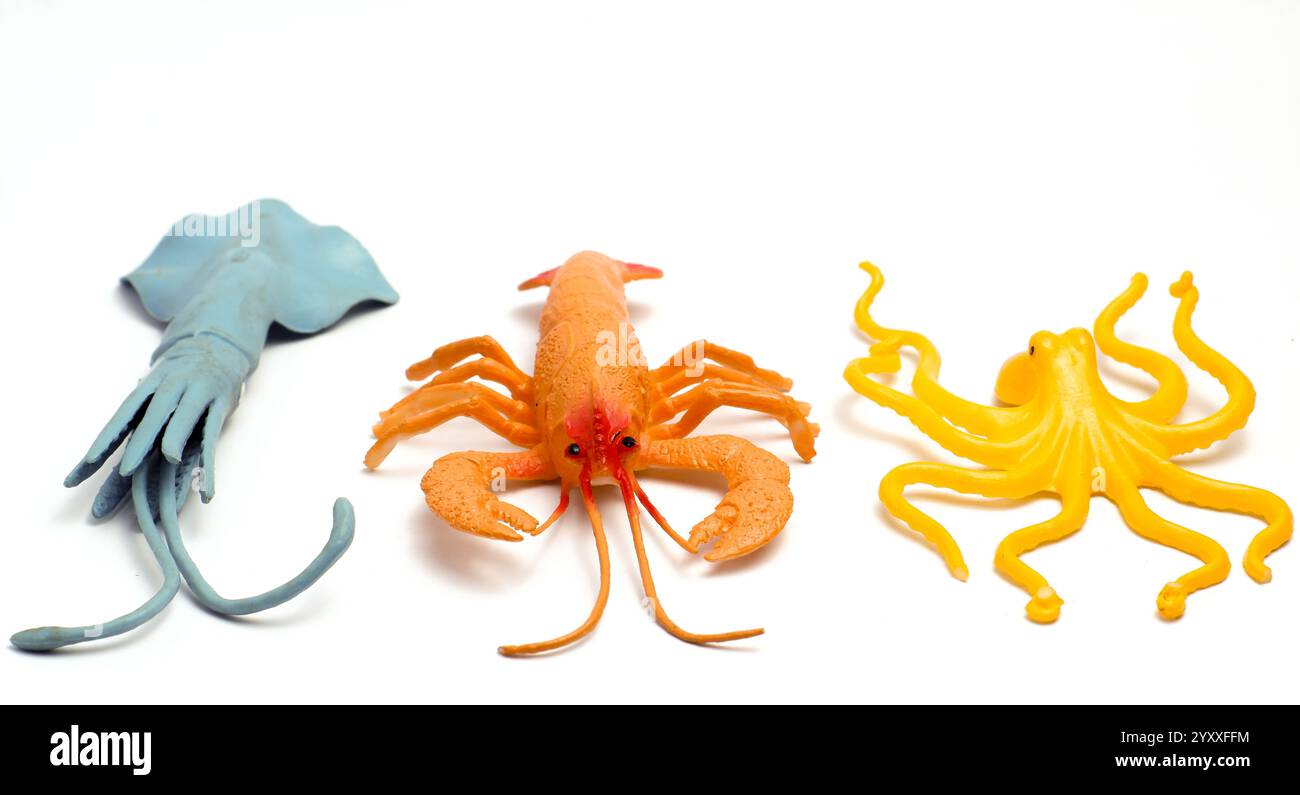 Buntes Meerestier geformtes Kinderspielzeug auf isoliertem weißem Hintergrund Stockfoto