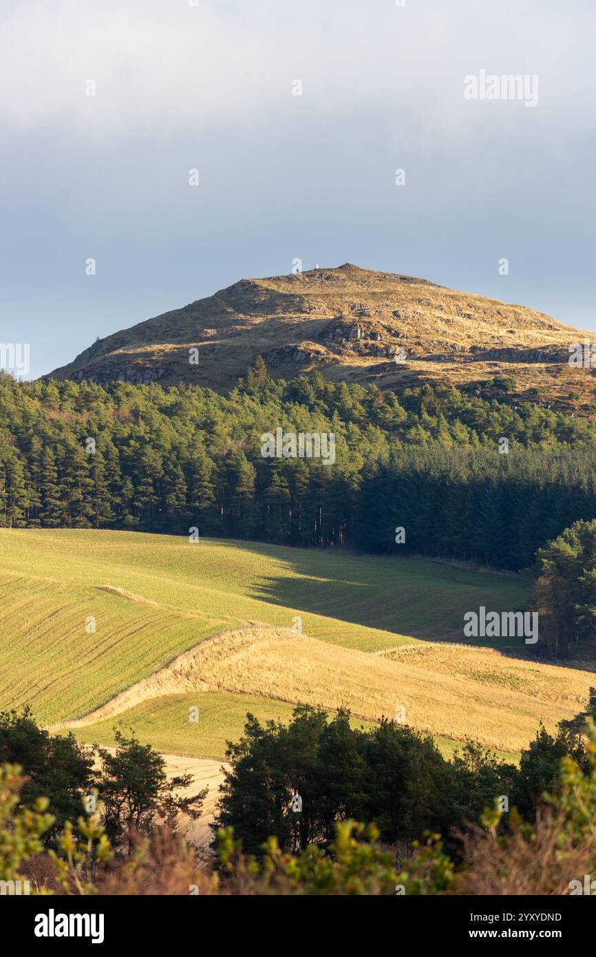 Blick auf Norman’s Law Hill vom Glenduckie Hill in der Nähe von Newburgh, Fife, Schottland Stockfoto