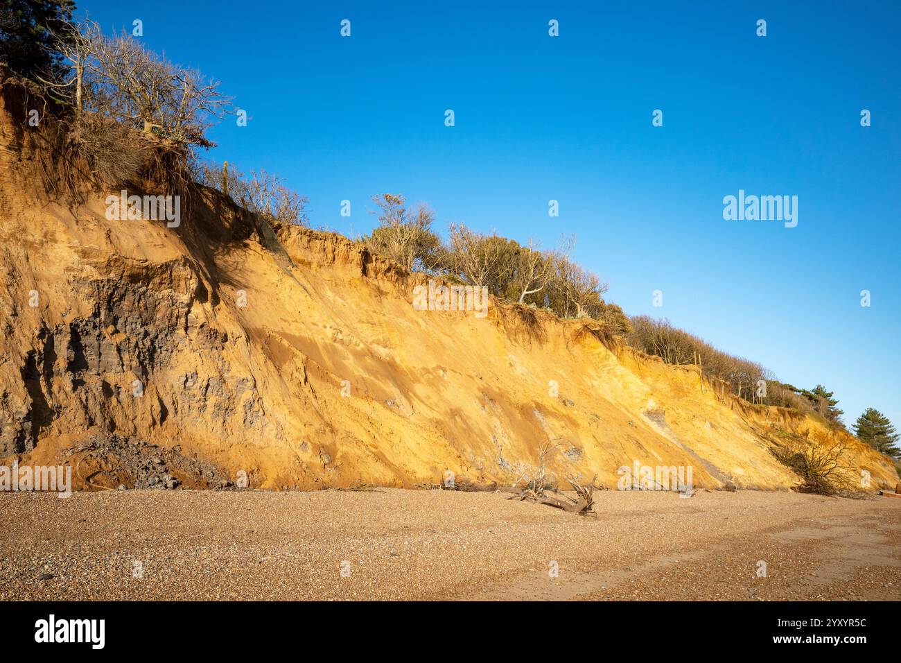 Auswirkungen der Küstenerosion Bawdsey Ferry Suffolk Stockfoto