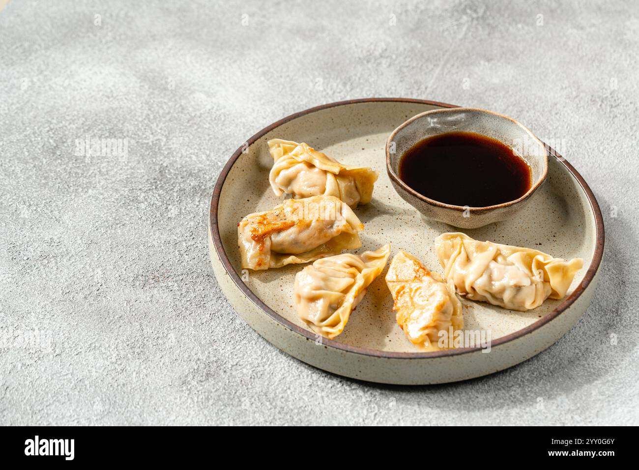 Gegrillte Gyoza- oder Jiaozi-gebratene gefüllte Teigtaschen Stockfoto