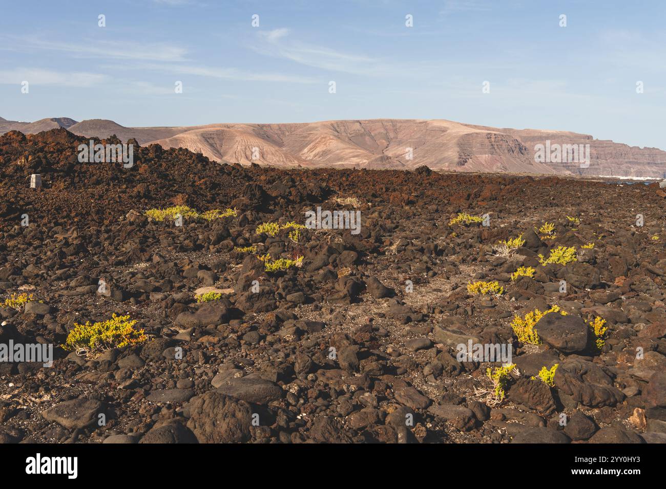 Lanzarote wunderschöne Naturlandschaft mit vulkanischen Lavasteinen. Hochwertige Fotos Stockfoto