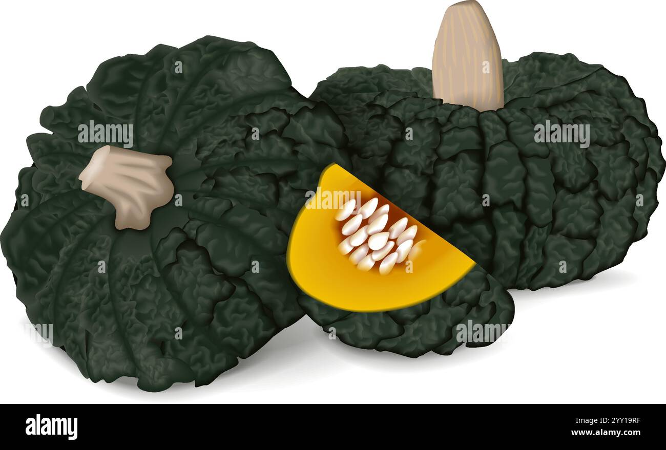 Ganzer und gehackter Marina di Chiogga Squash oder Chioggia Sea Kürbis. Winter-Squash. Cucurbita maxima. Isolierte Vektordarstellung. Stock Vektor