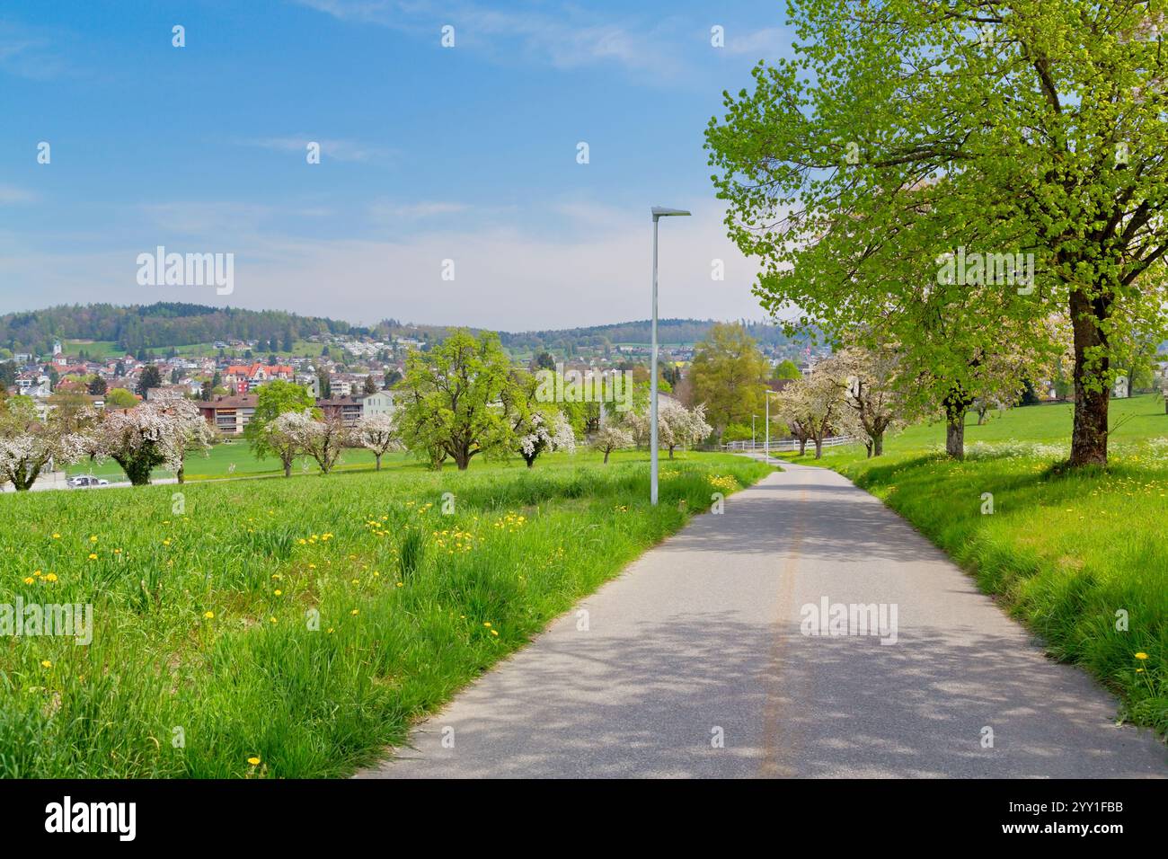 Panoramablick auf das Dorf Reinach in Aargau, Schweiz Stockfoto