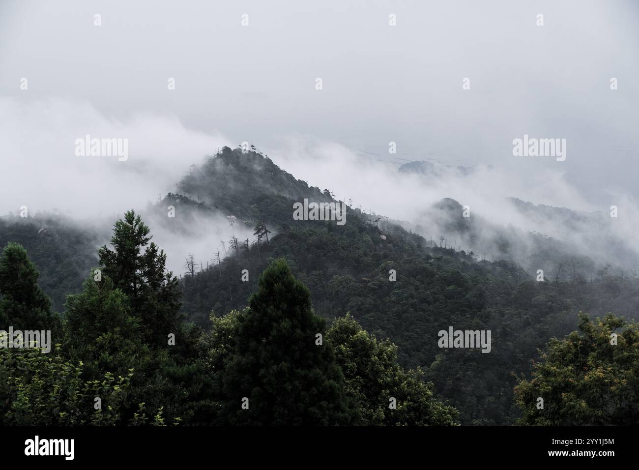 Atemberaubende japanische Natur mit üppigem Grün, Nebelbergen und Wolken, wunderschöne ruhige Landschaft, ruhige Landschaft, ruhige Landschaft Stockfoto