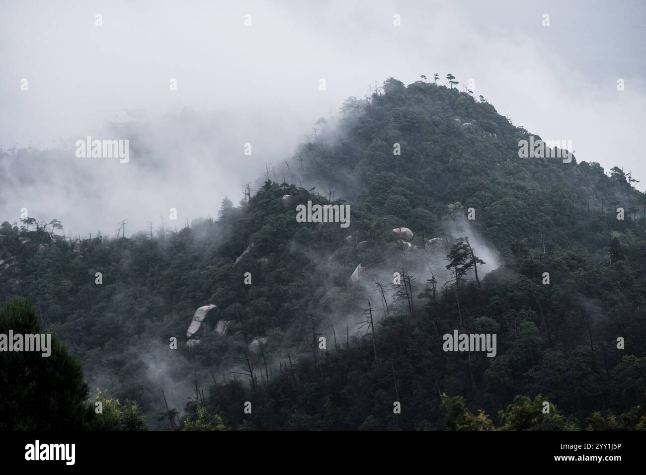 Atemberaubende japanische Natur mit üppigem Grün, Nebelbergen und Wolken, wunderschöne ruhige Landschaft, ruhige Landschaft, ruhige Landschaft Stockfoto