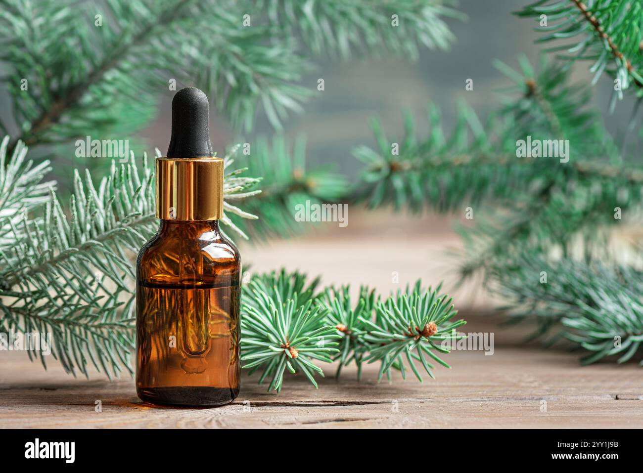 Tropfer für ätherisches Tannenöl. Ätherisches Öl der Kiefer und Fichte in Bernsteinglasflasche und Grüntannenzweigen. Stockfoto