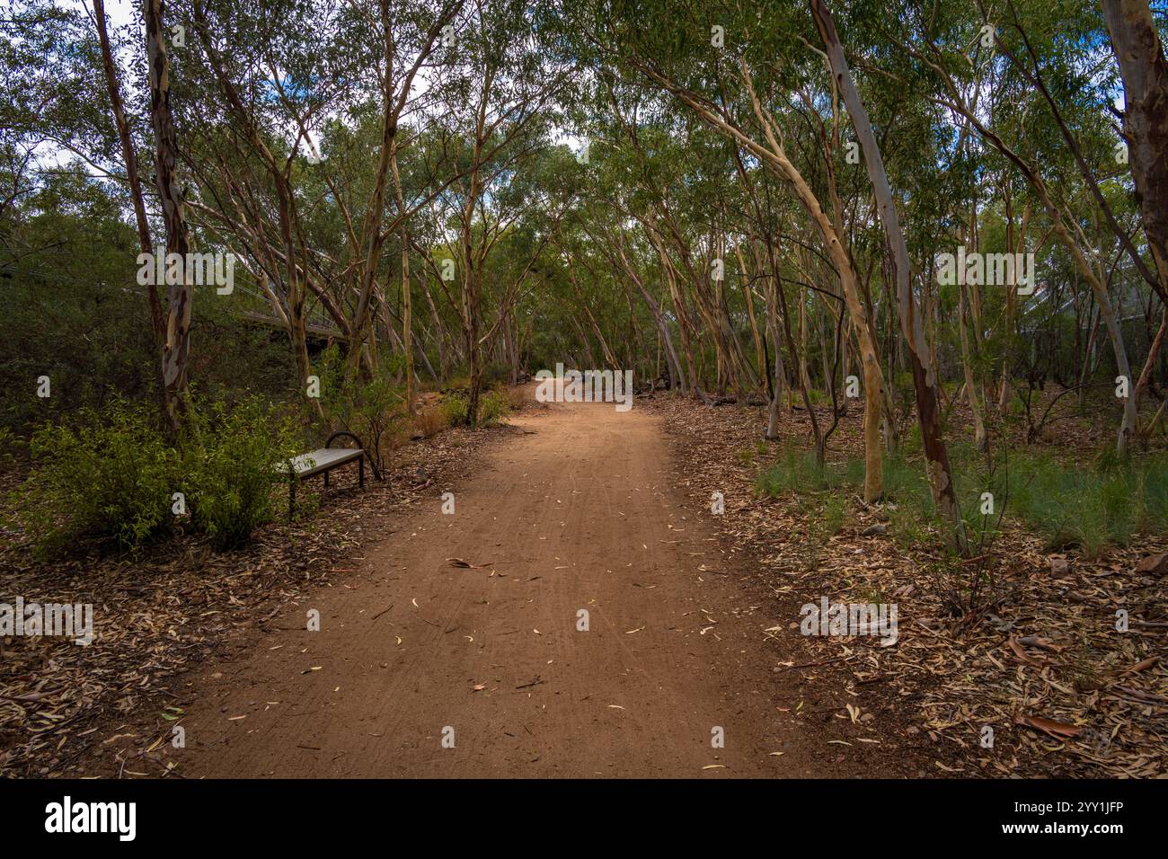 Ein Wanderweg in den Wäldern in der Nähe von Alice Springs, Australien Stockfoto