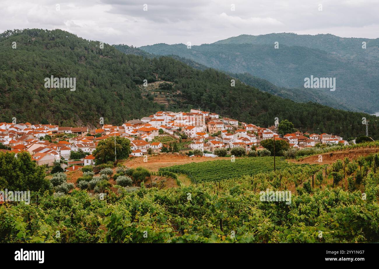 Üppige Weinberge bedecken die sanften Hügel und umgeben das bezaubernde Dorf Alijo in Vila Real, Portugal, unter einem bewölkten Himmel Stockfoto