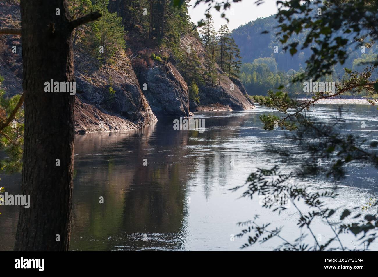 Eine ruhige Flusslandschaft, umrahmt von Bäumen, mit ruhigem Wasser, das felsige Klippen reflektiert, und üppig grüne Wälder in sanftem Sonnenlicht. Stockfoto