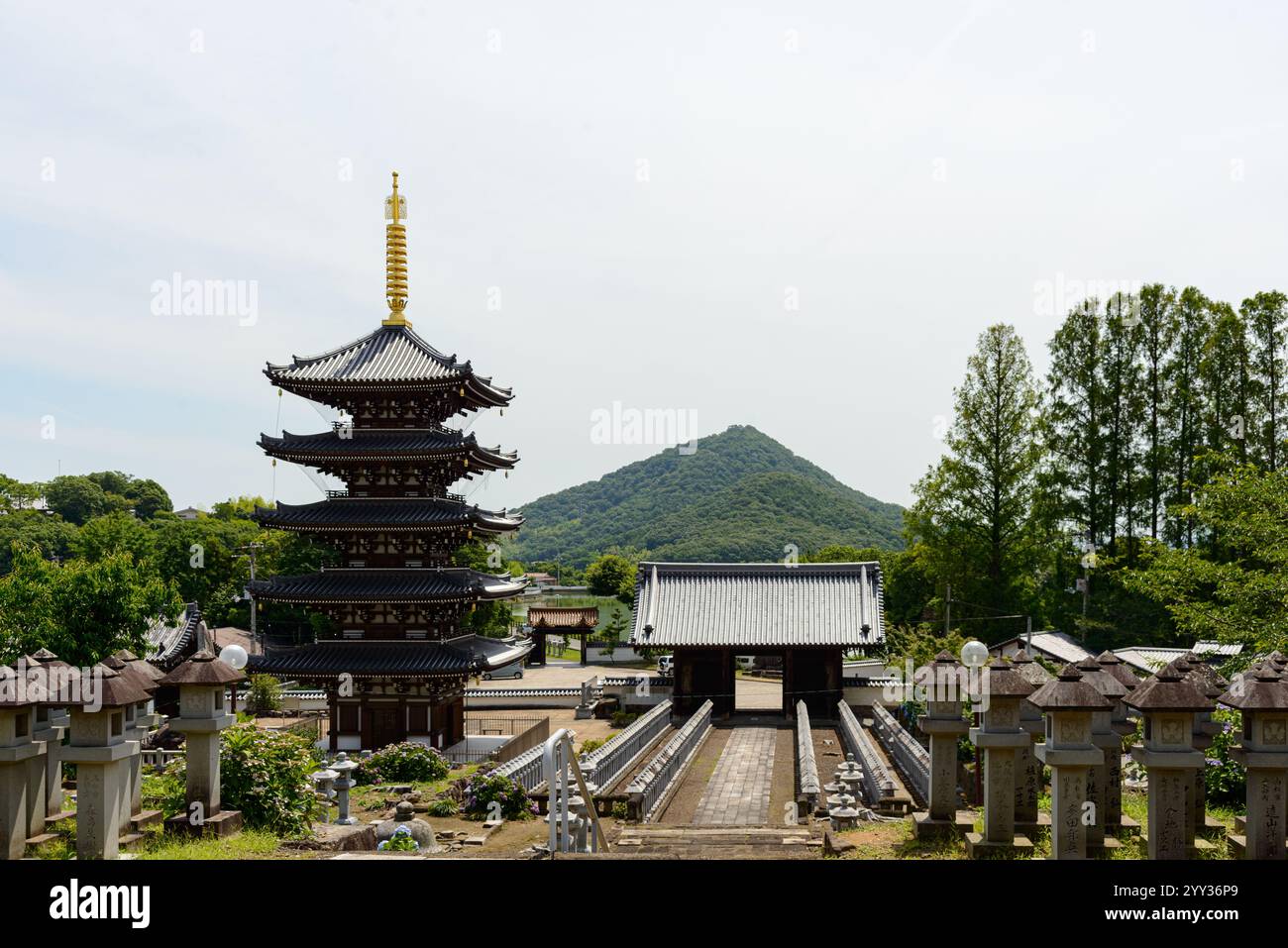 Panoramablick auf die Pagode und den Pfad am Busshozan Tempel, Kagawa, Japan Stockfoto