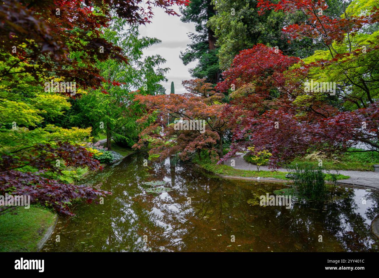 Eine ruhige Gartenszene mit leuchtendem Rot-, Grün- und Gelbwerk, das einen ruhigen, reflektierenden Teich umgibt. Die üppigen Bäume und ihre Spiegelreflexe Stockfoto