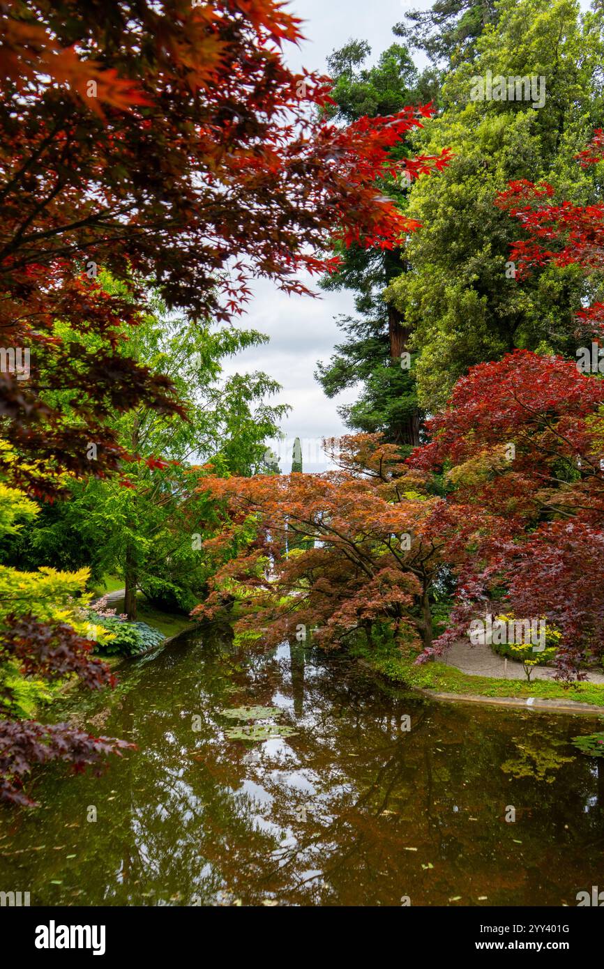 Eine ruhige Gartenszene mit leuchtendem Rot-, Grün- und Gelbwerk, das einen ruhigen, reflektierenden Teich umgibt. Die üppigen Bäume und ihre Spiegelreflexe Stockfoto