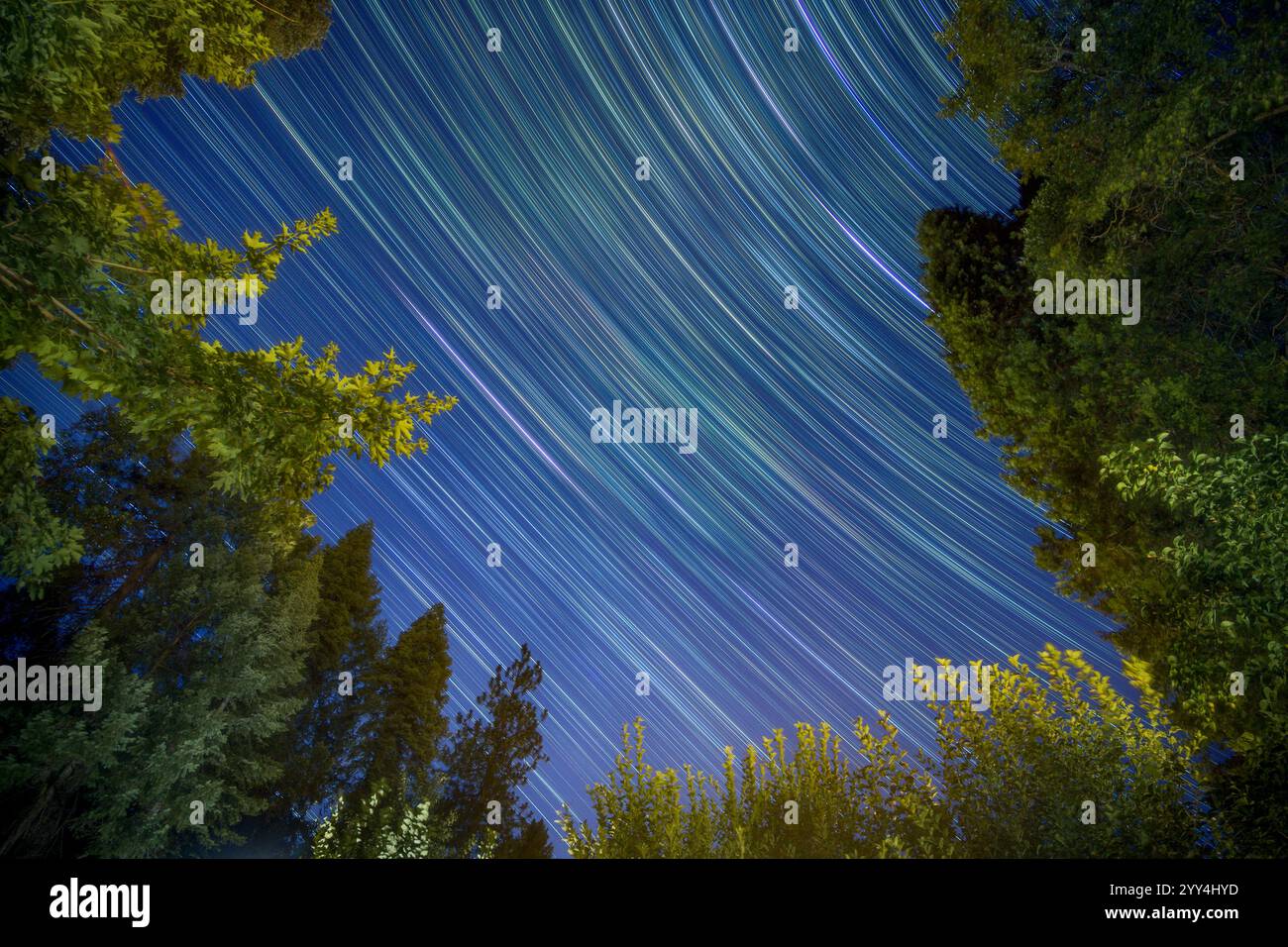 Atemberaubende Langzeitbelichtung von farbenfrohen Sternenpfaden, die sich über den Himmel ziehen, eingerahmt von üppigen Bäumen im Tahoe National Forest, Kalifornien, unter einer Clea Stockfoto