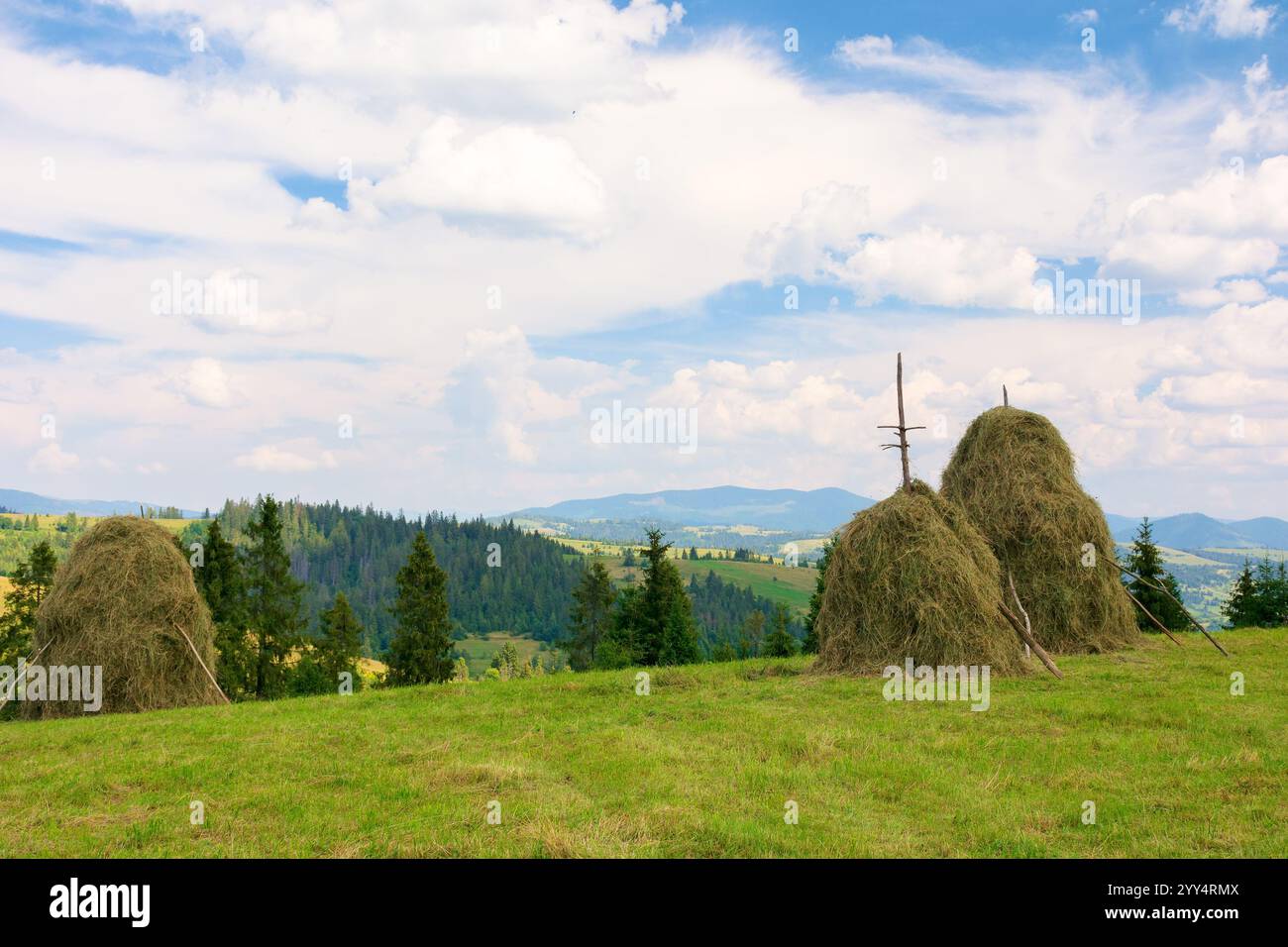 Ländliche Landschaft von transkarpaten im Sommer. Malerisches Tal hinter dem Hügel. Heuhaufen auf dem grasbewachsenen Feld. Berglandschaft der ukraine Stockfoto