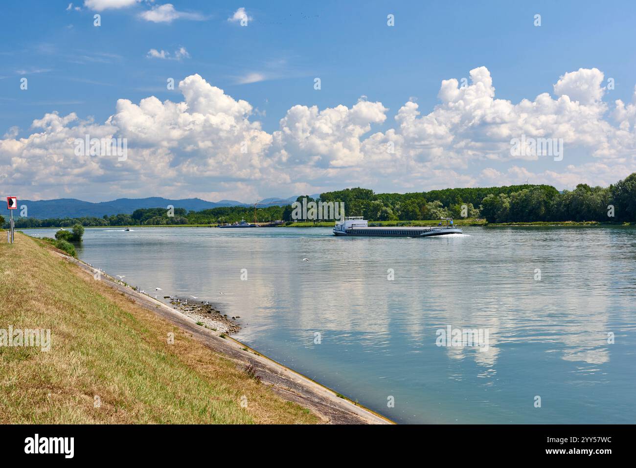 Handelsschiff auf dem Rhein bei Rhinau (Nordostfrankreich) Stockfoto