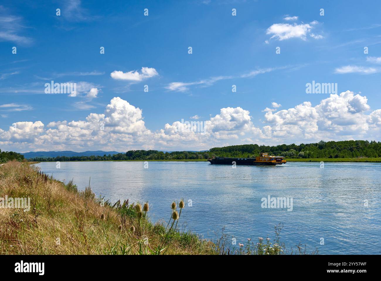 Handelsschiff auf dem Rhein bei Rhinau (Nordostfrankreich) Stockfoto