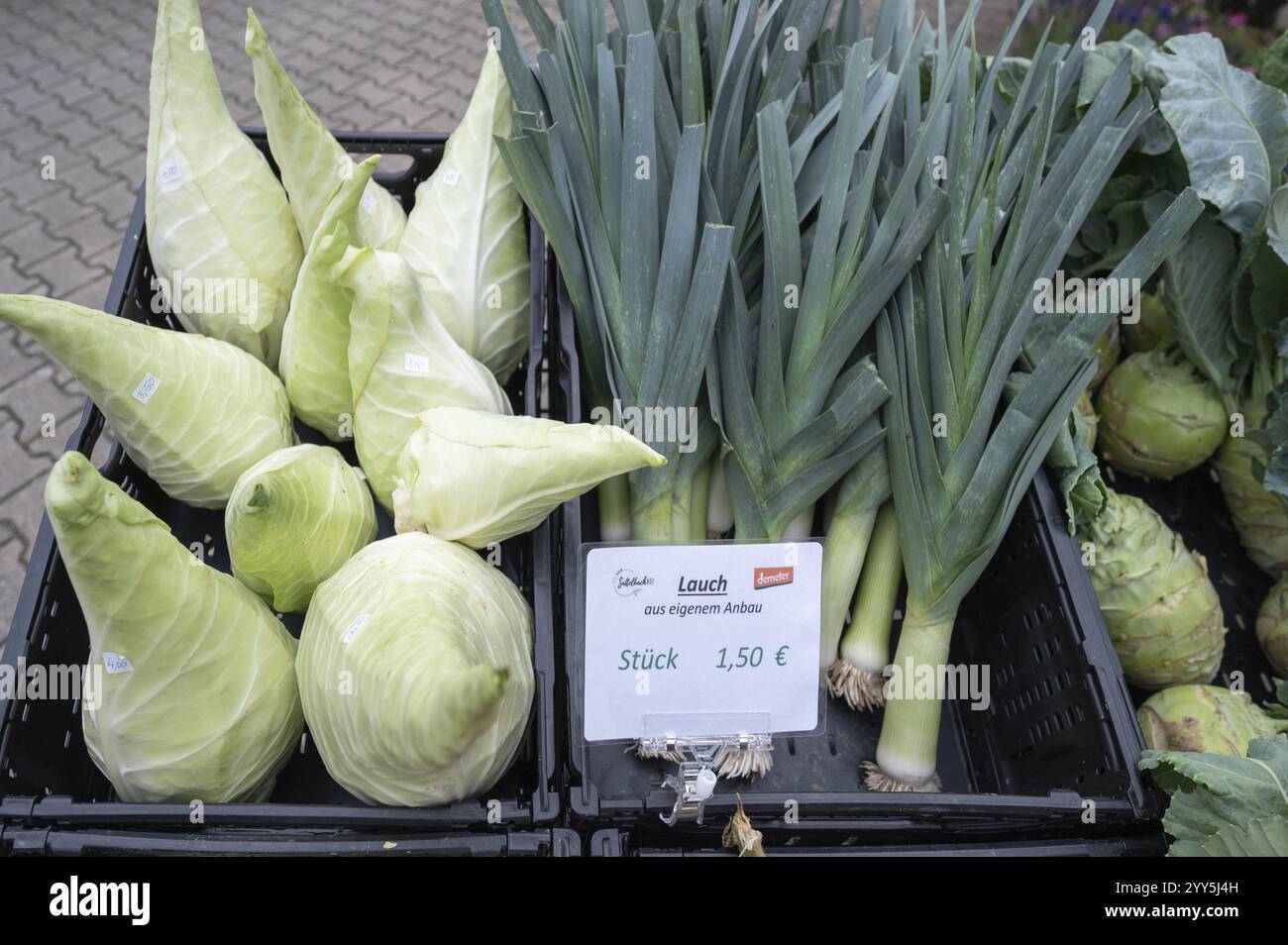Gemüse, Spitzkohl und Lauch in Kisten, Bayern, Deutschland, Europa Stockfoto