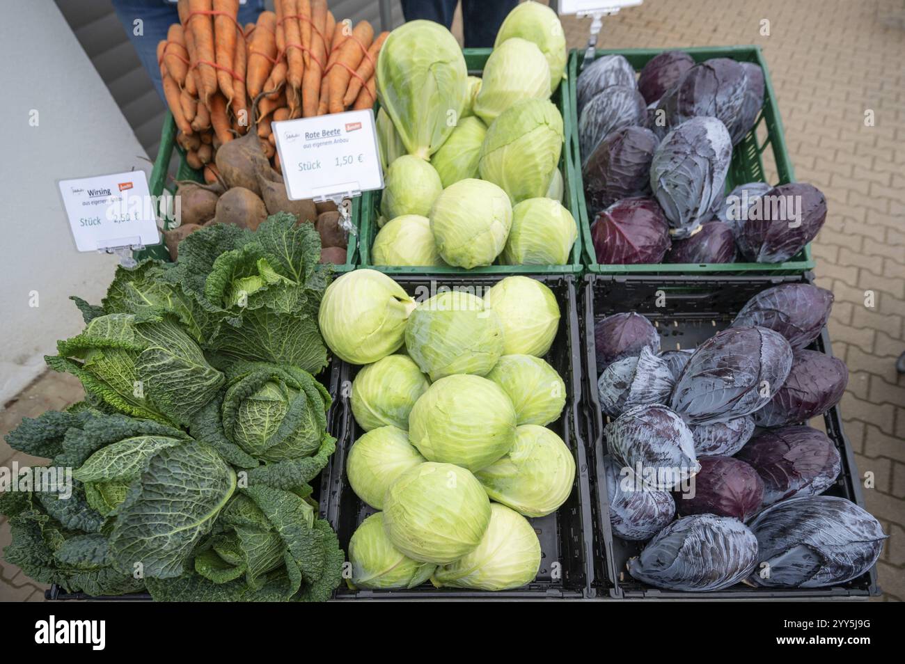 Frisches Gemüse in einer Kiste, auf einem Markt, Bayern, Deutschland, Europa Stockfoto