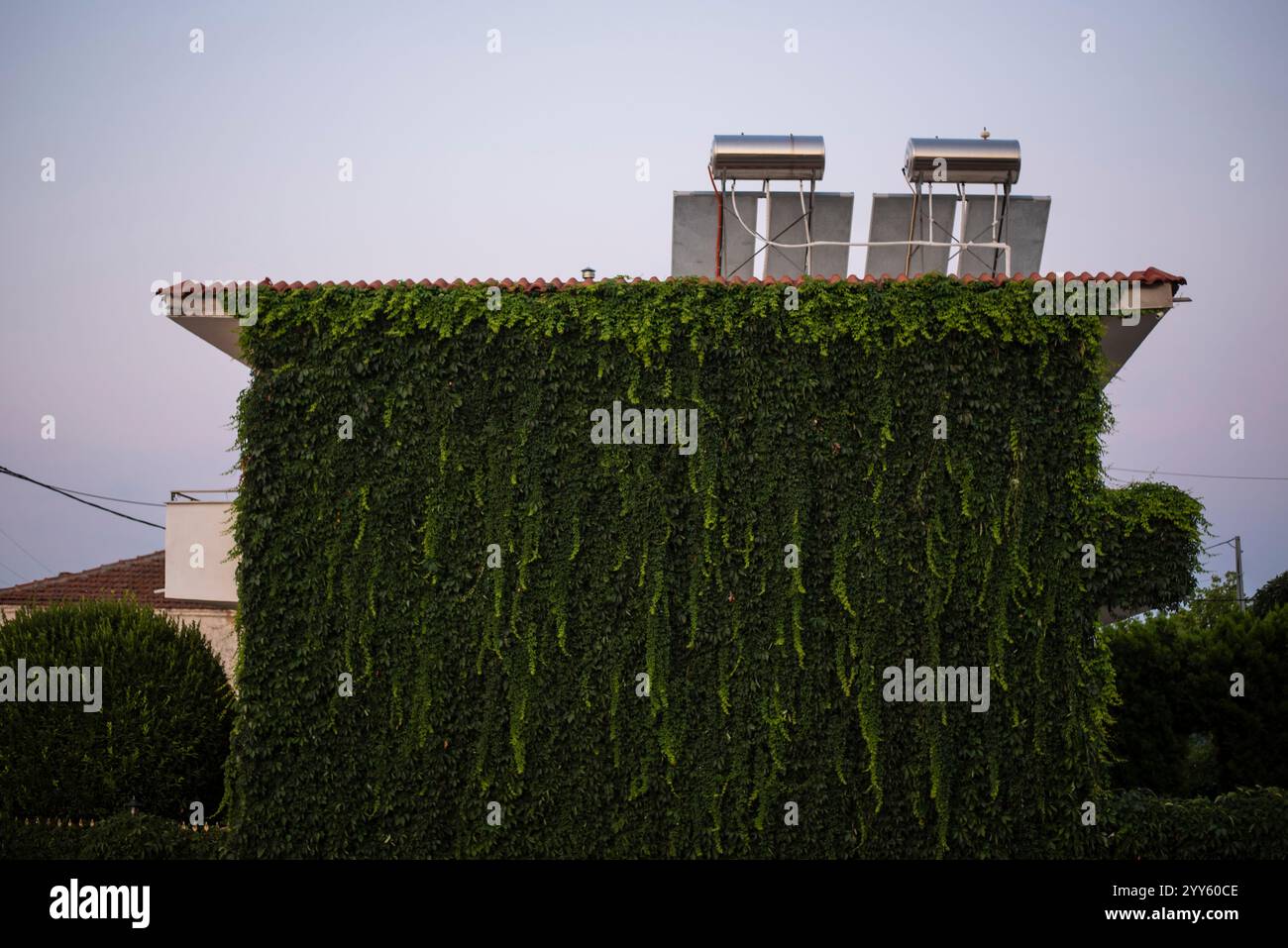 Solaranlage auf dem Dach des Wohnhauses. Erneuerbare Energien. Die Wände des Hauses sind mit grüner Vegetation bewachsen, umweltfreundlich Stockfoto