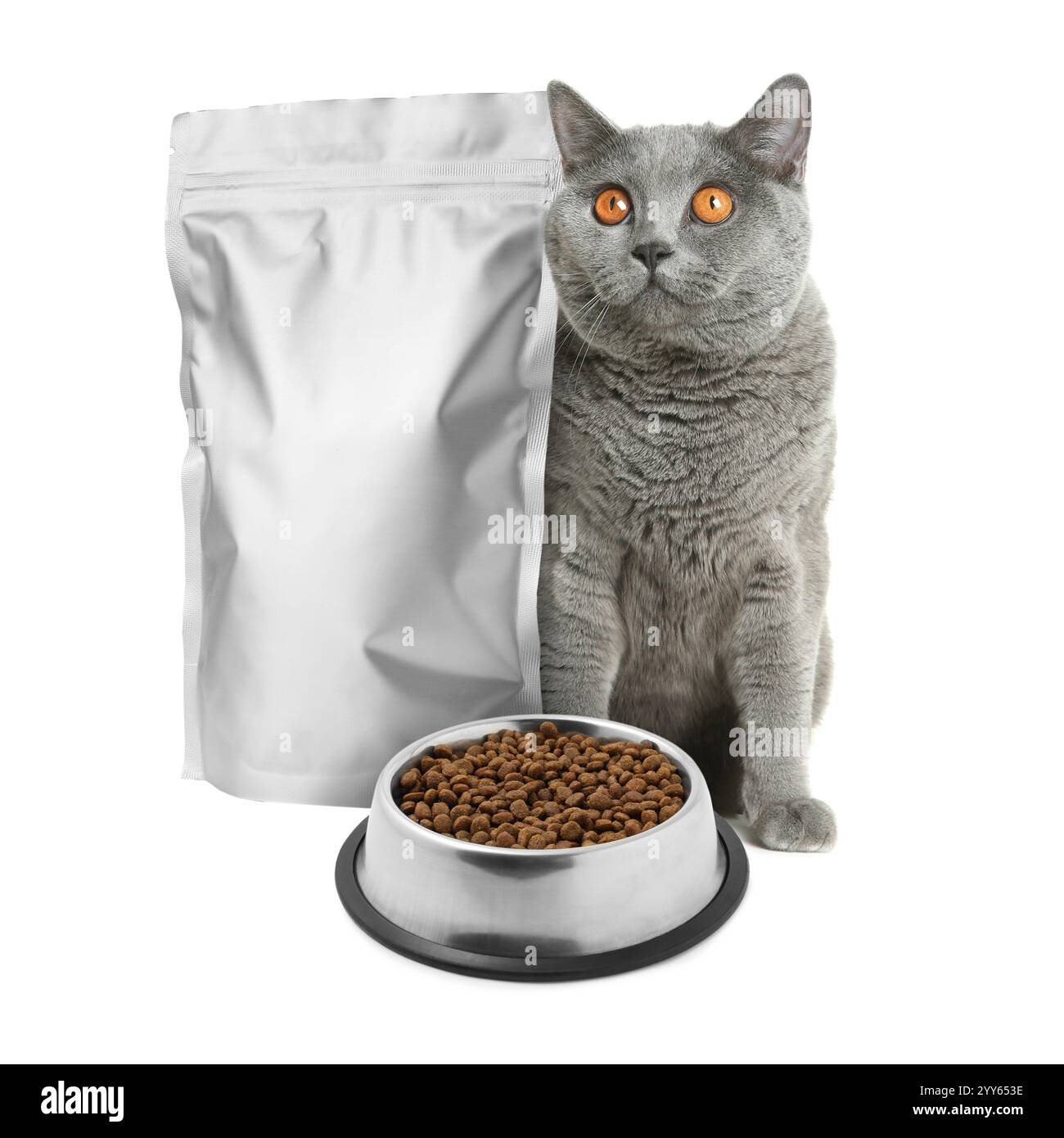 Niedliche Katze, die neben Folienpaket und Schüssel mit trockenem Tierfutter auf weißem Hintergrund sitzt Stockfoto