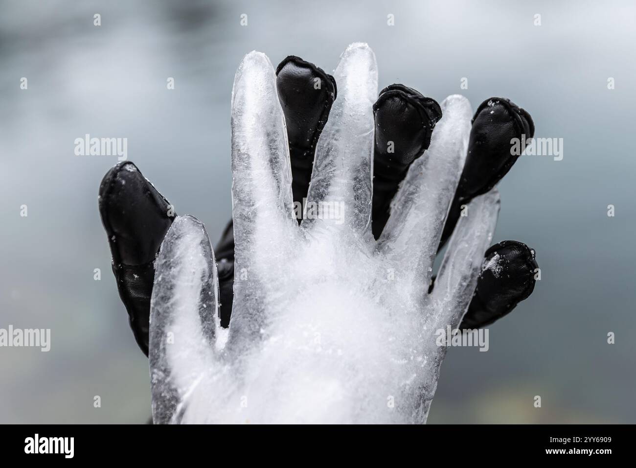Eiskalte Hand: Gefrorene Hand aus Eis hält eine Hand mit einem schwarzen Handschuh, Liebe, Winter Stockfoto