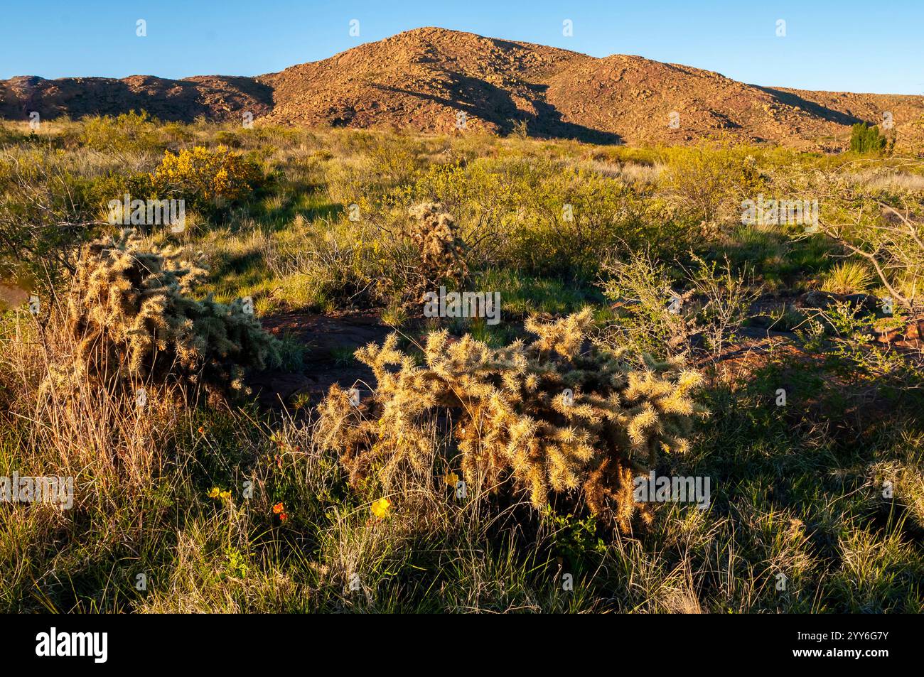 Lihue Calel Nationalpark Sierra Landscape, La Pampa, Argentinien Stockfoto