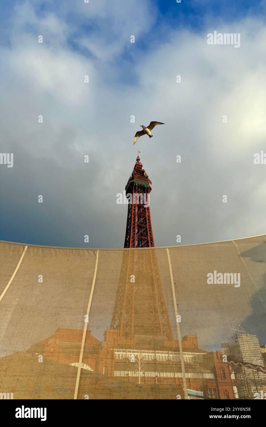 Blackpool Tower und Möwe, teilweise durch Netze an der Promenade verdeckt. Blackpool, Lancashire, Großbritannien Stockfoto