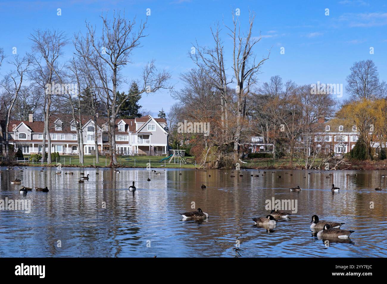 Natürliche Umgebung mit großen Häusern am Wasser Stockfoto