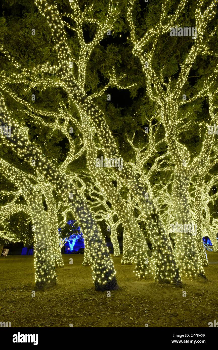 Dekorierter Wald In Johnson City, Texas Stockfoto
