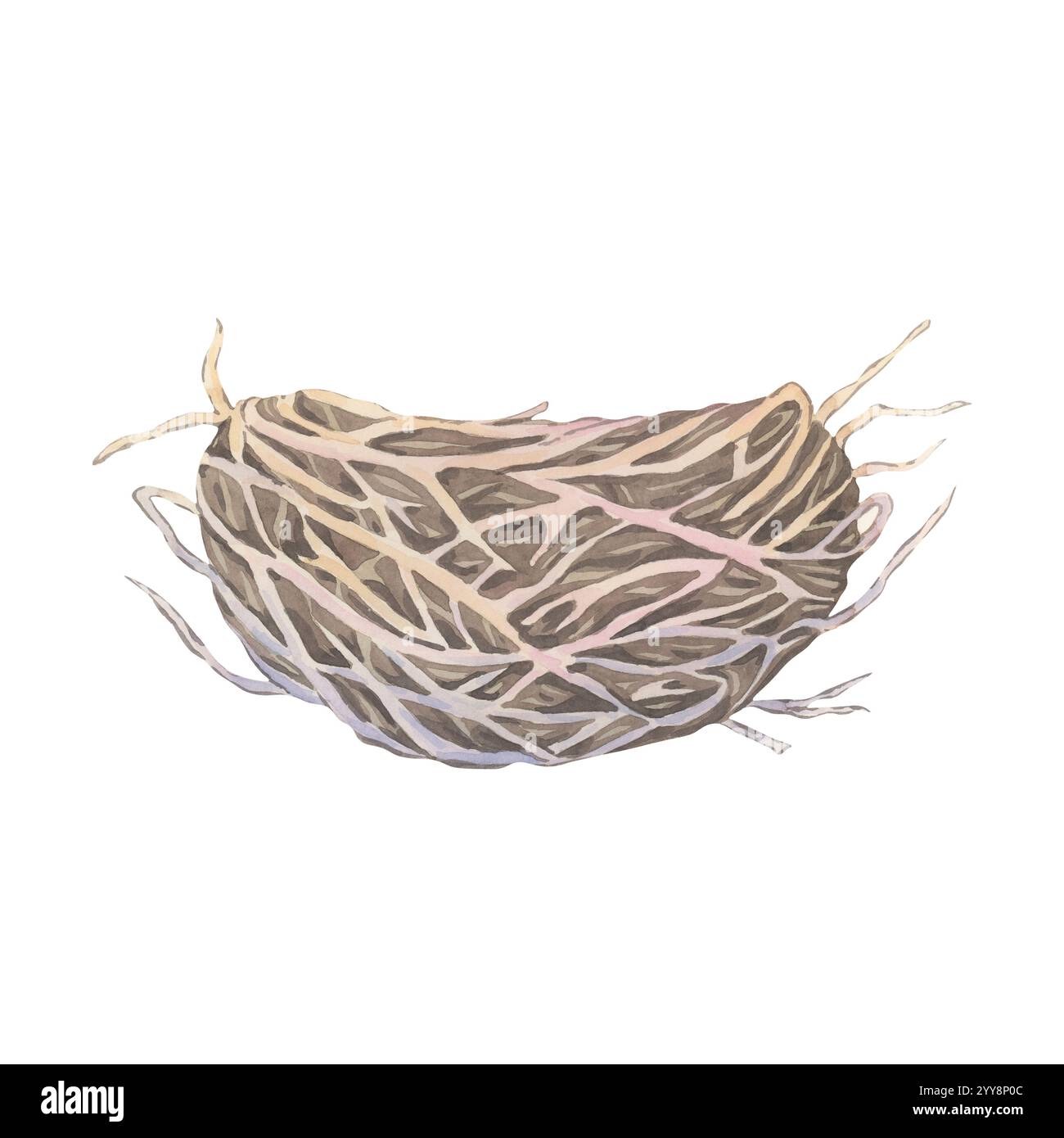 Vogelnest auf weißem Hintergrund. Element für natürliches Design. Malerische Illustration perfekt für Grußkarten Stockfoto