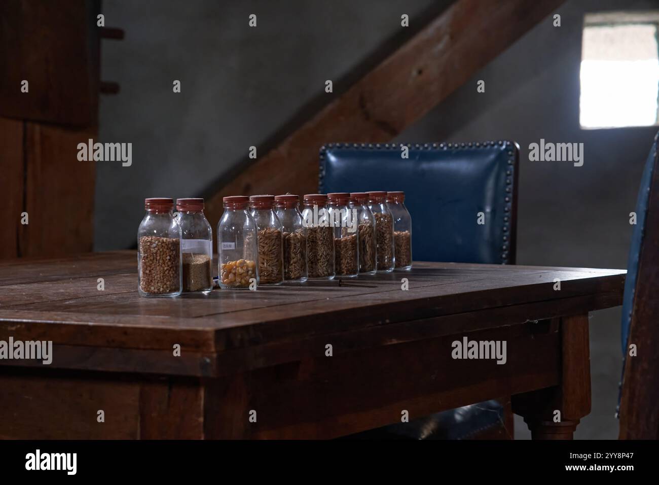 Glasgläser gefüllt mit Körnern und Samen auf einem rustikalen Holztisch in Windmill de Hazewind, Gieten. Ein Blick auf das traditionelle niederländische Mühlenerbe. Stockfoto