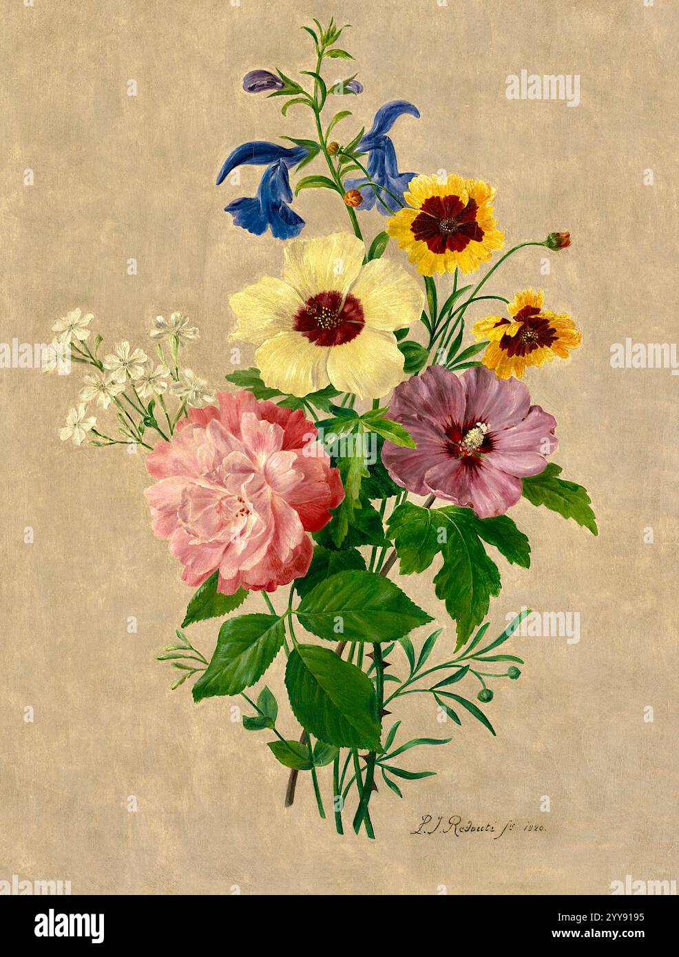 Pierre-Joseph Redouté (Maler und Pflanzenbiologe) - Blumen - 1820 Stockfoto