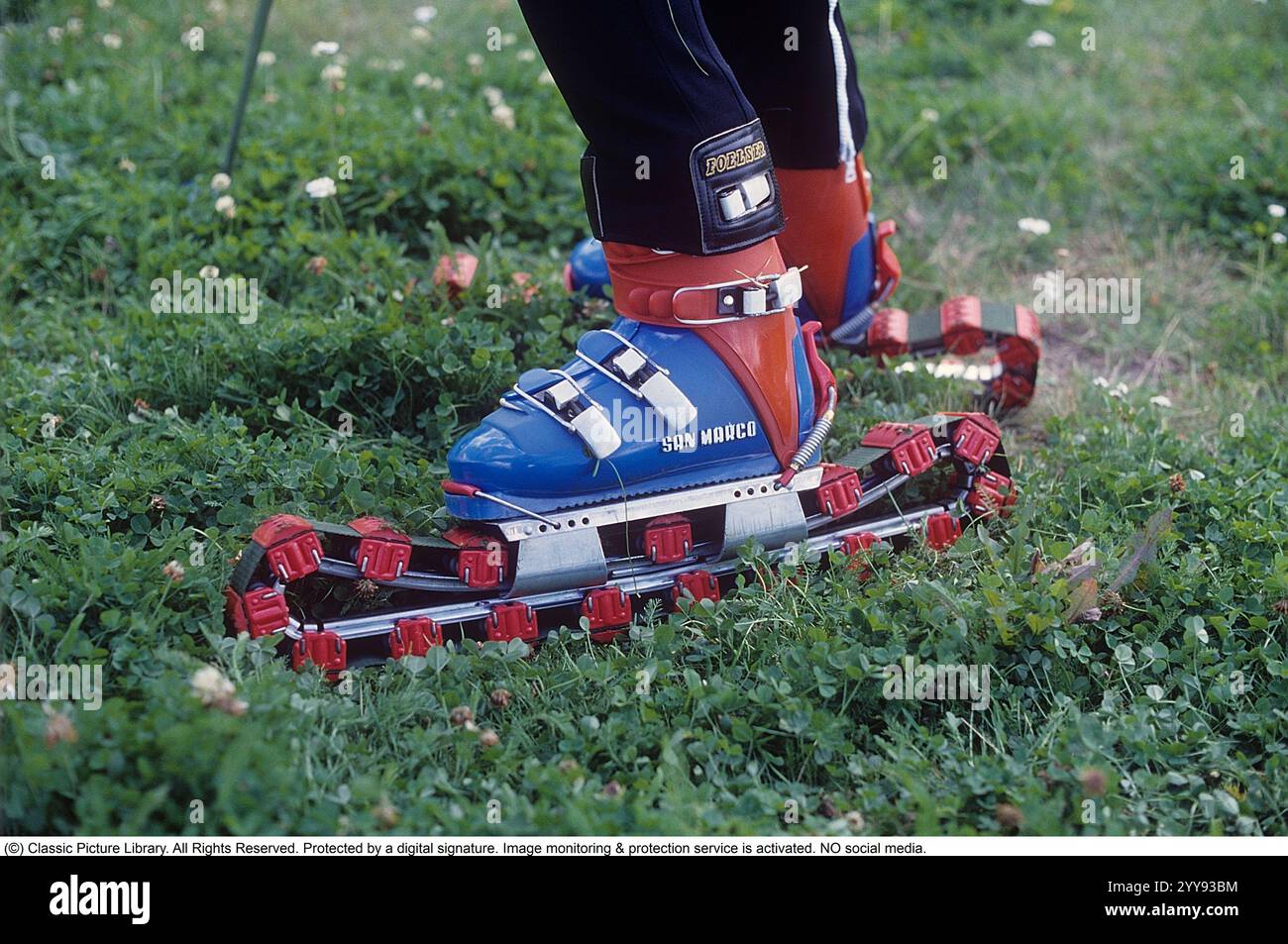 Slalom ohne Schnee. 1980 wird im Sommer eine neue Erfindung der Grasskier getestet. Die Skifahrer sind mit Rollbändern ausgestattet und hatten ähnliche Funktionen wie normale Skier. Ein Mann, der im Sommer auf einem grasbewachsenen Hügel die rollenden Skier probierte. In den 1980er Jahren gab es eine Handvoll Grasskihersteller Hier eine Webseite, die die Grasski-Geschichte erzählt: https://www.theskijournal.com/exclusive/grassholes/ Ref. DV25 Stockfoto