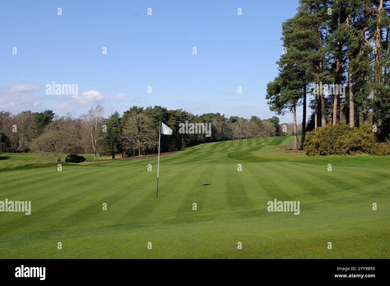 Blick zurück über 18th Green bis 18th Fairway, Liphook Golf Club, Liphook, Hampshire, England Stockfoto