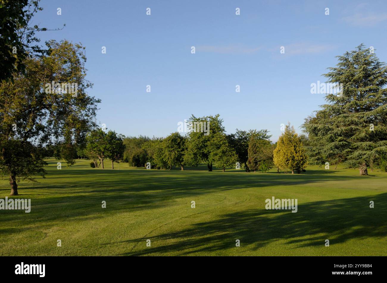 Blick auf das 18th Green zurück zum Fairway, Mid Kent Golf Club, Gravesend, Kent, England Stockfoto