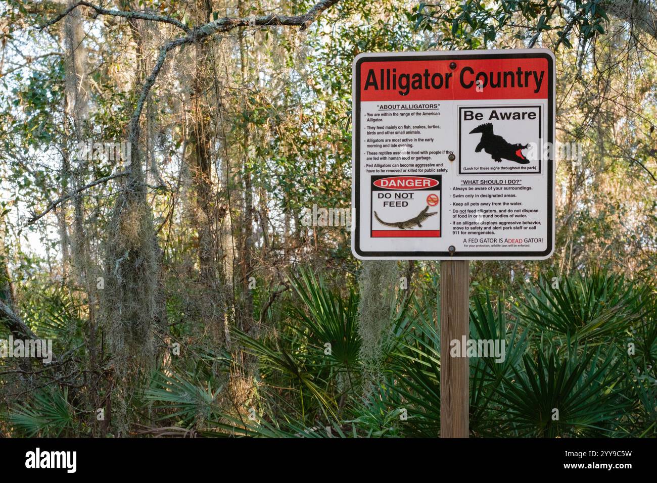 Alligatorwarnschild in Georgien Stockfoto