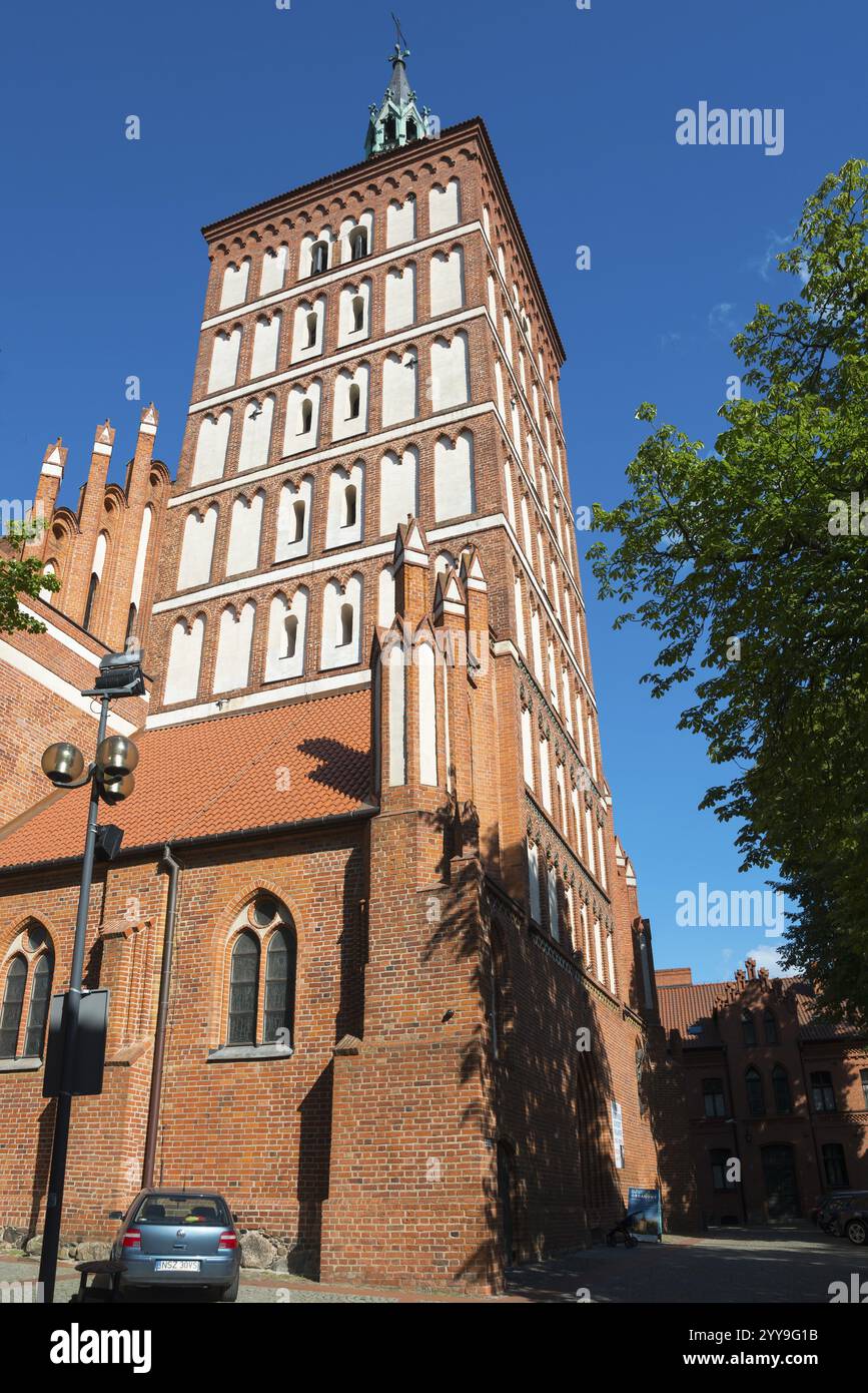 Gotischer Backsteinturm einer Kirche an einem klaren Tag mit blauem Himmel und umliegenden Bäumen, St. Jakobi Kirche, Olsztyn, Allenstein, Ermland-Masuren, Polen, Euro Stockfoto