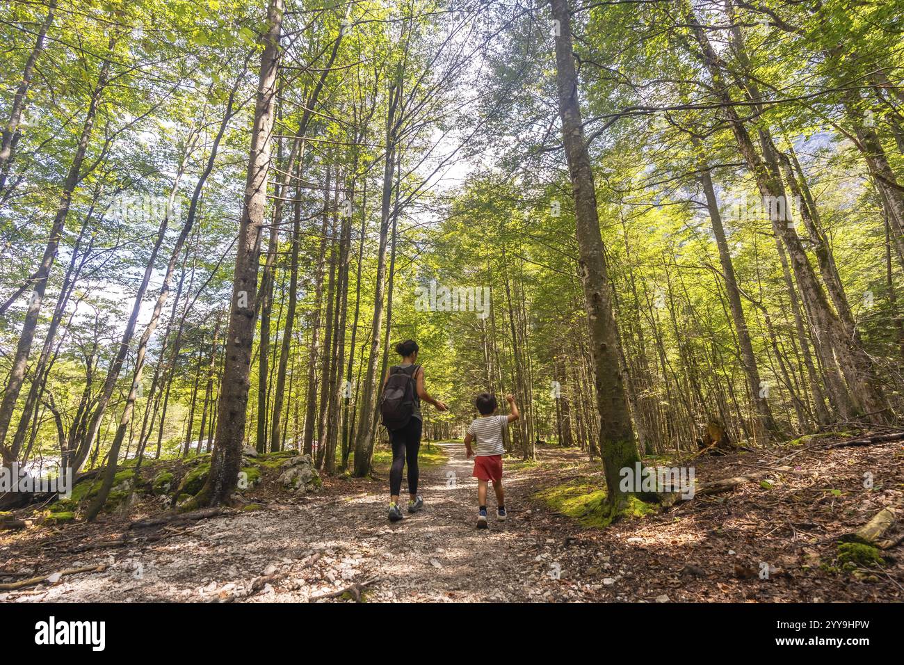 Mutter und Sohn genießen eine Wanderung durch die üppigen Waldwege des Logarska dolina-Tals in slowenien an einem sonnigen Sommertag Stockfoto