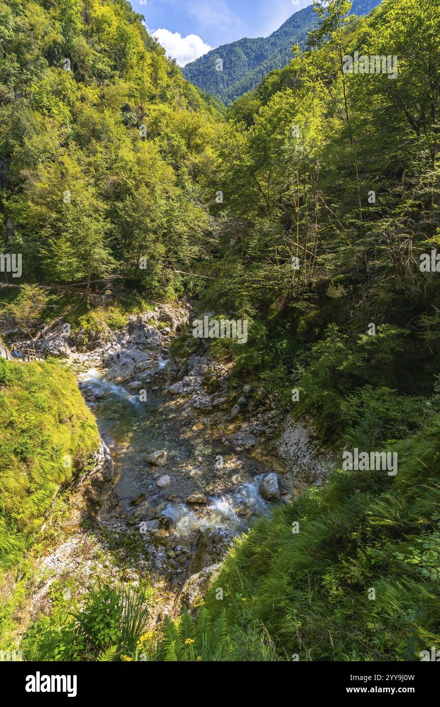 Malerische tolmin-Schluchten im triglav-Nationalpark, slowenien, bieten kristallklares türkisfarbenes Wasser, das durch eine enge Schlucht fließt, umgeben von üppigem Gemüse Stockfoto