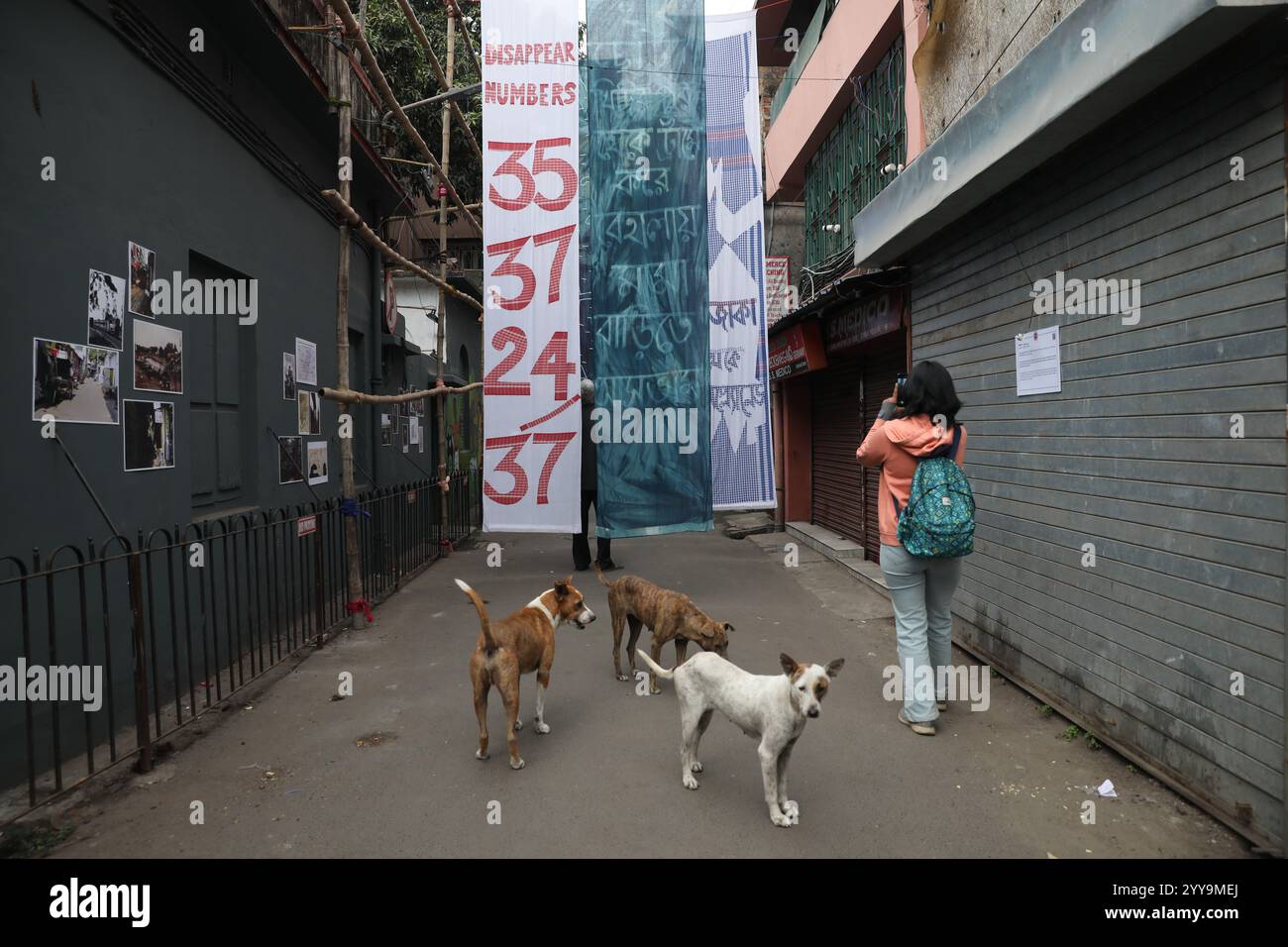 Kalkutta, Indien. Dezember 2024. Während eines Open-Air-Kunstfestivals, dem Behala Art fest, am 20. Dezember 2024 in Kalkutta, Indien, vor einer Kunstinstallation in einer Gasse stehen streunende Hunde, während eine Frau mit ihrem Handy ein Foto macht. (Foto: Rupak de Chowdhuri/NurPhoto)0 Credit: NurPhoto SRL/Alamy Live News Stockfoto