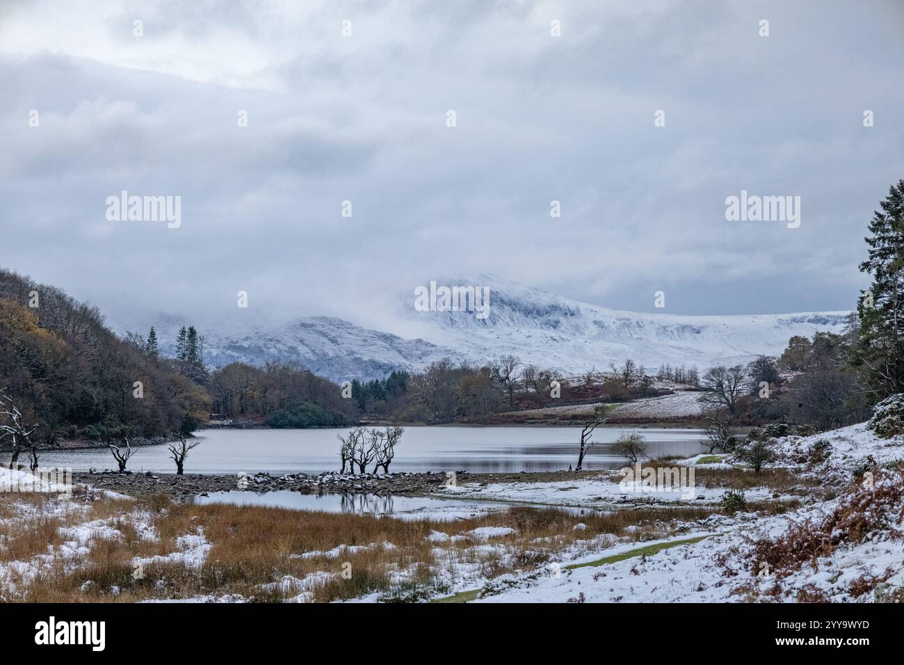Llyn Cynwch im Winter mit wolkenbedecktem Cader Idris in der Ferne. Stockfoto