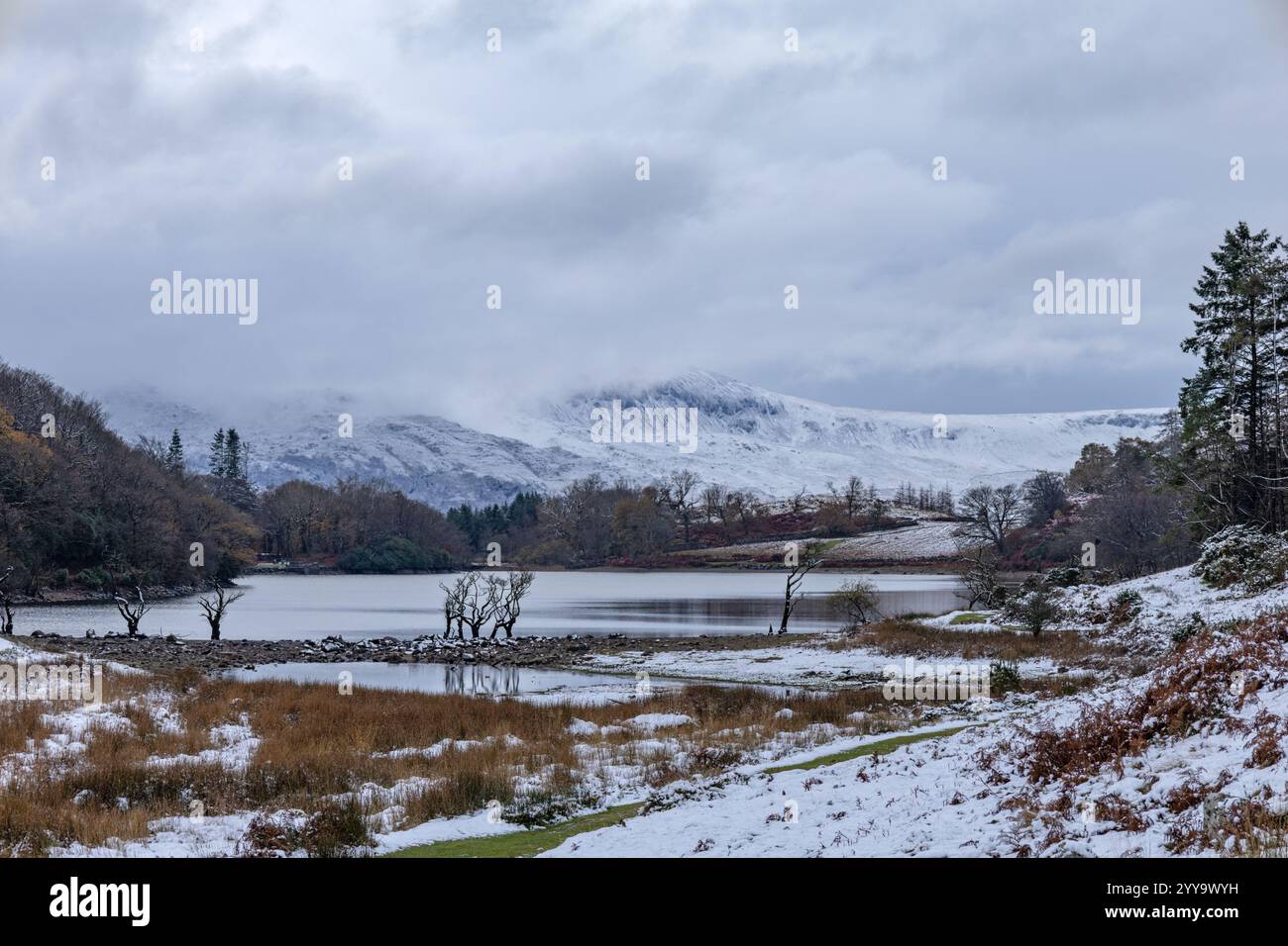 Llyn Cynwch im Winter mit wolkenbedecktem Cader Idris in der Ferne. Stockfoto