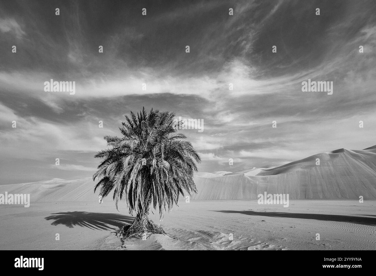 Mauretanien, Azweiga, Landschaft Stockfoto