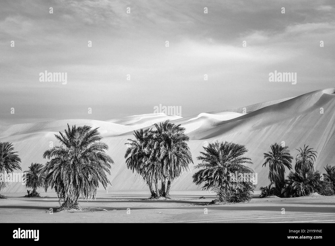 Mauretanien, Azweiga, Landschaft Stockfoto