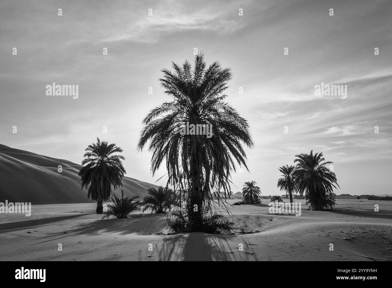 Mauretanien, Azweiga, Landschaft Stockfoto